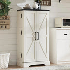 47 Farmhouse Kitchen Pantry, Storage Cabinet with Barn Doors - N/A