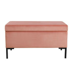 HomePop Storage Bench with Metal Leg