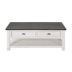 The Gray Barn Downington Solid Wood 2-Drawer Coffee Table