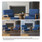 Upholstered Armchair Leisure Chair Accent Chairs Set of 2 with Pillow