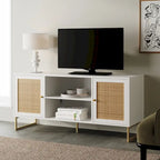 Nathan James Mina Modern TV Stand Entertainment Cabinet Media Console Oak Wood and Black Accents w/ Storage Doors
