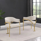 Best Quality Furniture Matte Brushed Gold Chrome Dining Chairs (Set of 2) - N/A