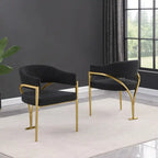 Best Quality Furniture Matte Brushed Gold Chrome Dining Chairs (Set of 2) - N/A