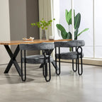 Modern Chenille Fabric Upholstered Acccent Dining Chairs for Living Room (set of 2)