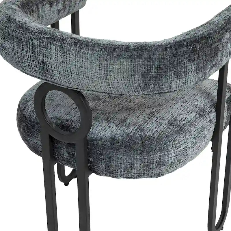 Modern Chenille Fabric Upholstered Acccent Dining Chairs for Living Room (set of 2)