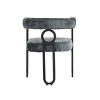 Modern Chenille Fabric Upholstered Acccent Dining Chairs for Living Room (set of 2)