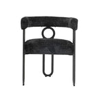 Modern Chenille Fabric Upholstered Acccent Dining Chairs for Living Room (set of 2)