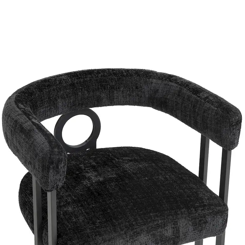 Modern Chenille Fabric Upholstered Acccent Dining Chairs for Living Room (set of 2)