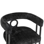 Modern Chenille Fabric Upholstered Acccent Dining Chairs for Living Room (set of 2)