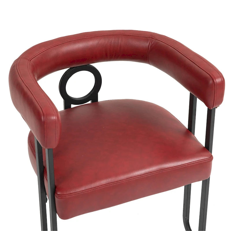 Modern Chenille Fabric Upholstered Acccent Dining Chairs for Living Room (set of 2)