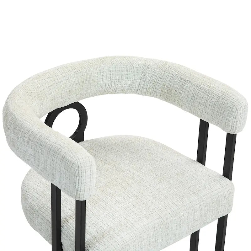 Modern Chenille Fabric Upholstered Acccent Dining Chairs for Living Room (set of 2)