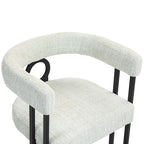 Modern Chenille Fabric Upholstered Acccent Dining Chairs for Living Room (set of 2)